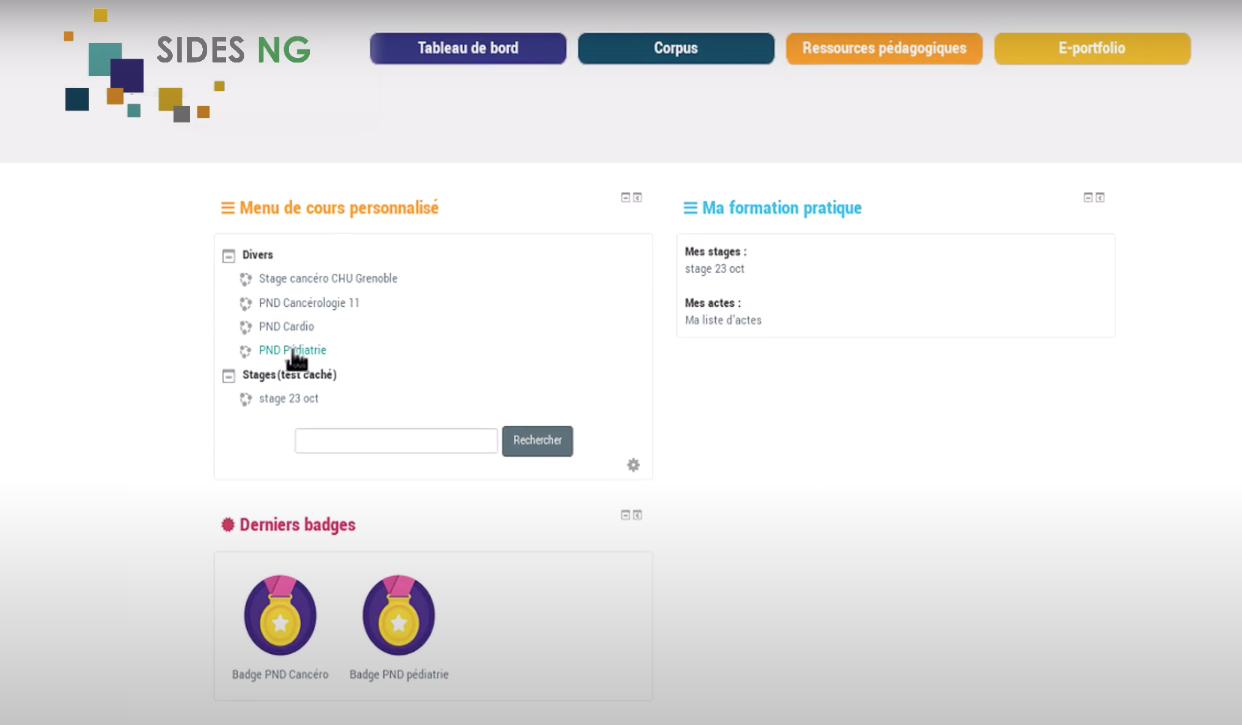 Screenshot of SIDESNG
